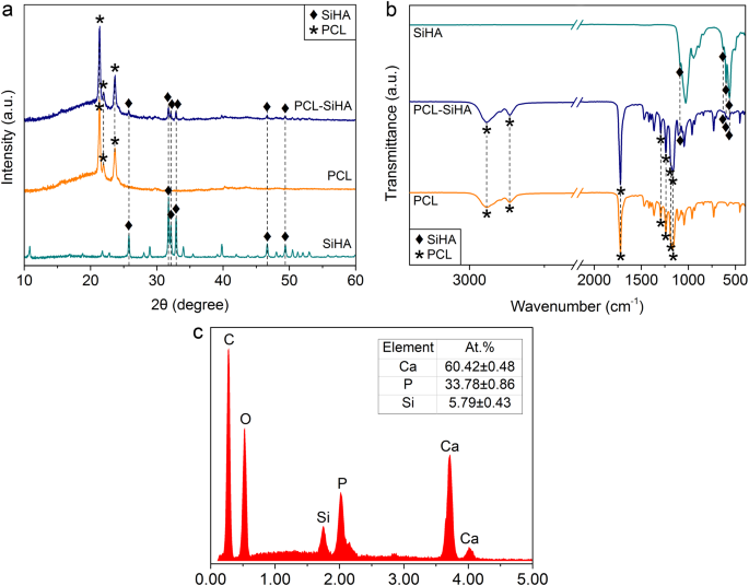 3d Biodegradable Scaffolds Of Polycaprolactone With Silicate Containing Hydroxyapatite Microparticles For Bone Tissue Engineering High Resolution Tomography And In Vitro Study Scientific Reports