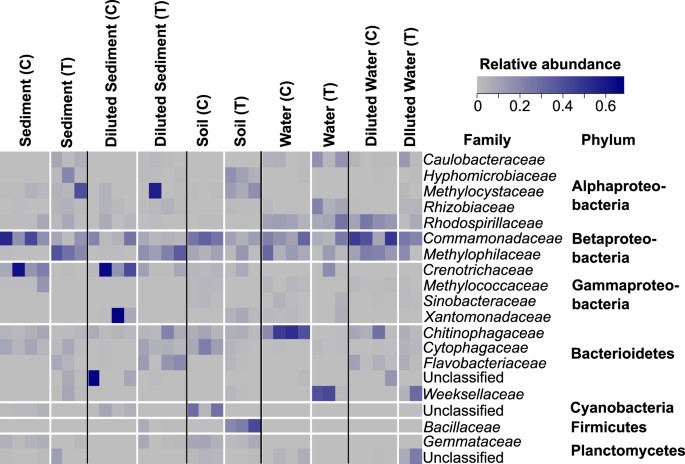 A Surprising Family Legacy Molecular >> Environmental Legacy Contributes To The Resilience Of Methane A Surprising Family Legacy Molecular >> Environmental Legacy Contributes To The Resilience Of Methane