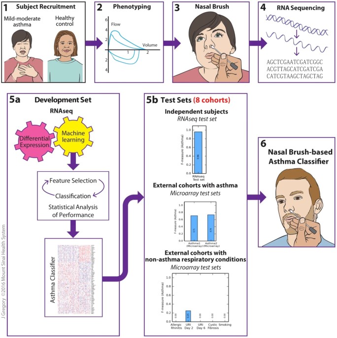 A Nasal Brush-based Classifier of Asthma Identified by Machine Learning  Analysis of Nasal RNA Sequence Data | Scientific Reports