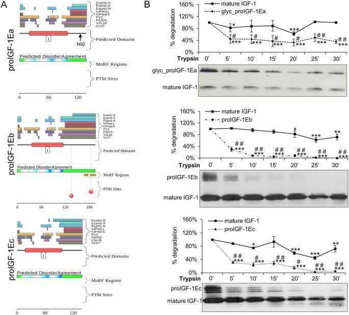 5-amino-1mq cancer Reduced calorie diet combined with NNMT inhibition establishes a distinct  microbiome in DIO mice