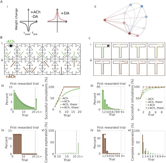 Acetylcholine Modulated Plasticity In Reward Driven Navigation A Computational Study Scientific Reports