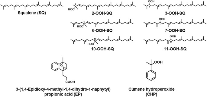 Oxidation of squalene by singlet oxygen and free radicals results in  different compositions of squalene monohydroperoxide isomers | Scientific  Reports