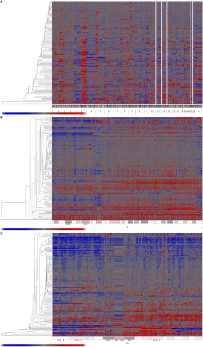 Krüppel-like factor 10 participates in cervical cancer immunoediting through transcriptional regulation of pregnancy-specific beta-1 glycoproteins