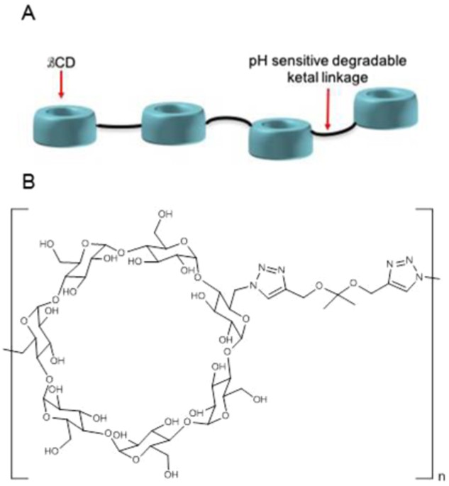 Intrathecal 2-hydroxypropyl-β-cyclodextrin decreases neurological