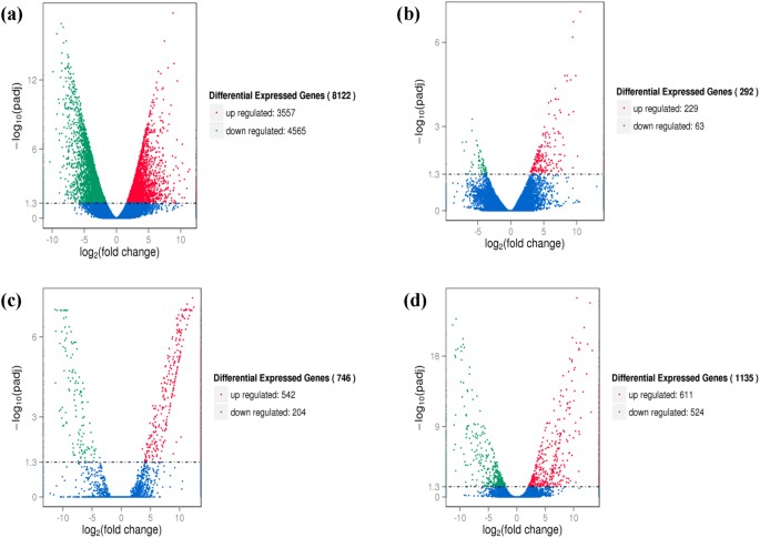 The Best Of Padi Rar Sekali