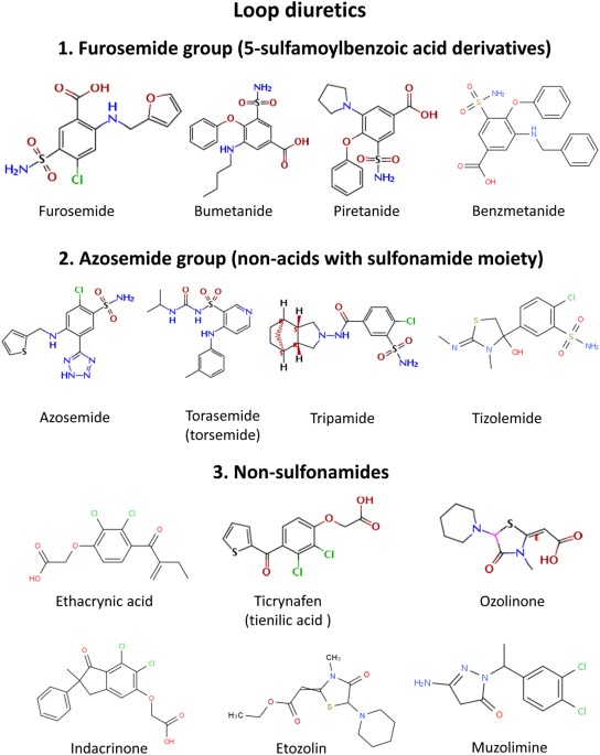 Azosemide Is More Potent Than Bumetanide And Various Other