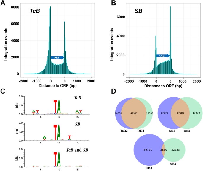 Genome Wide Determination Of Gene Essentiality By Transposon Figure 2