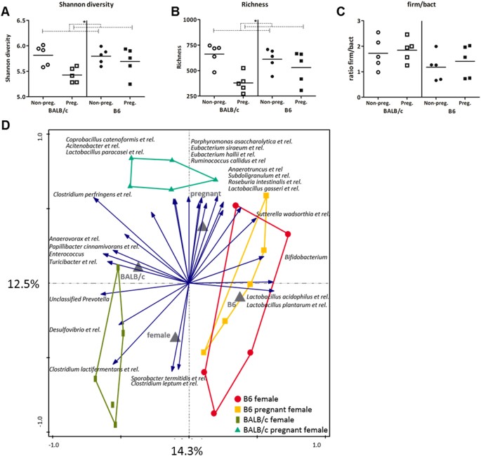 Changes In Intestinal Gene Expression And Microbiota Composition During Late Pregnancy Are Mouse Strain Dependent Scientific Reports Changes In Intestinal Gene Expression And Microbiota Composition During Late Pregnancy Are Mouse Strain Dependent Scientific Reports