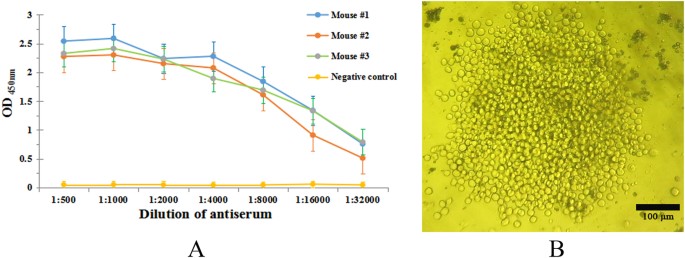 preparation of anti human podoplanin monoclonal antibody and its figure 3