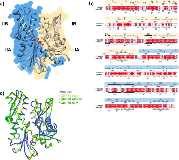 Repurposing Drugs To Target The Malaria Parasite Unfolding Protein Response Scientific Reports
