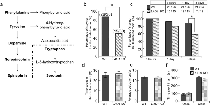d-Amino Acid Levels in Perfused Mouse Brain Tissue and Blood: A Comparative  Study