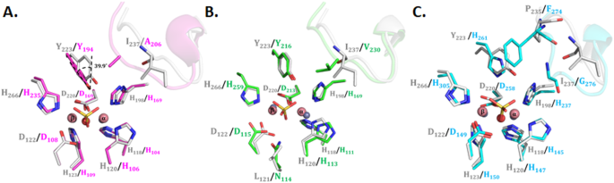 PDF) Structural and Biochemical Characterization of AaL, a Quorum