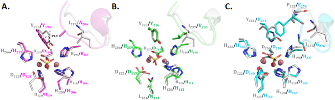 PDF) Structural and Biochemical Characterization of AaL, a Quorum Quenching  Lactonase with Unusual Kinetic Properties