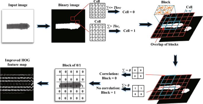 Automatic multiple zebrafish tracking based on improved HOG features ...