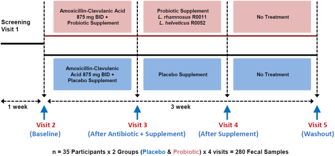 Gut Bacterial Microbiota and its Resistome Rapidly Recover to Basal State  Levels after Short-term Amoxicillin-Clavulanic Acid Treatment in Healthy  Adults | Scientific Reports