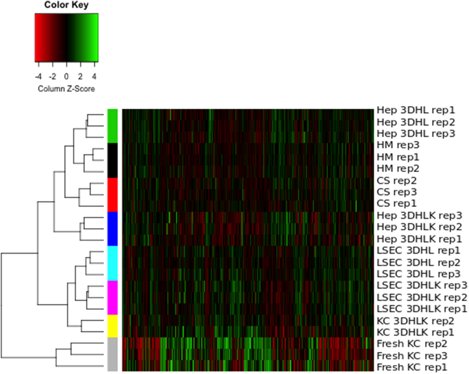 Transcriptomic Analysis Of Hepatic Cells In Multicellular Organotypic Liver Models Scientific Reports Transcriptomic Analysis Of Hepatic Cells In Multicellular Organotypic Liver Models Scientific Reports