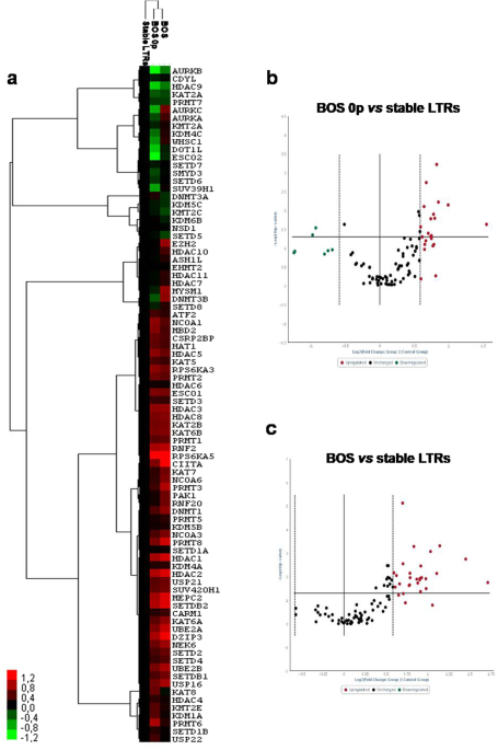 Lung resident mesenchymal cells isolated from patients with the  Bronchiolitis Obliterans Syndrome display a deregulated epigenetic profile  | Scientific Reports