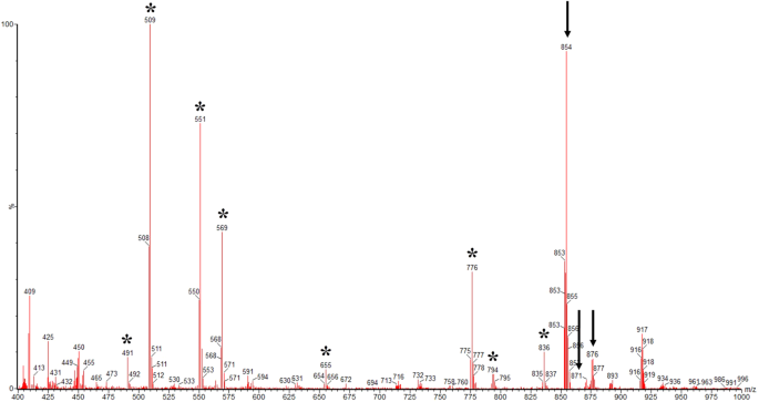 Elicitors derived from hazel (corylus avellana l. ) cell suspension culture enhance growth and paclitaxel production of epicoccum nigrum