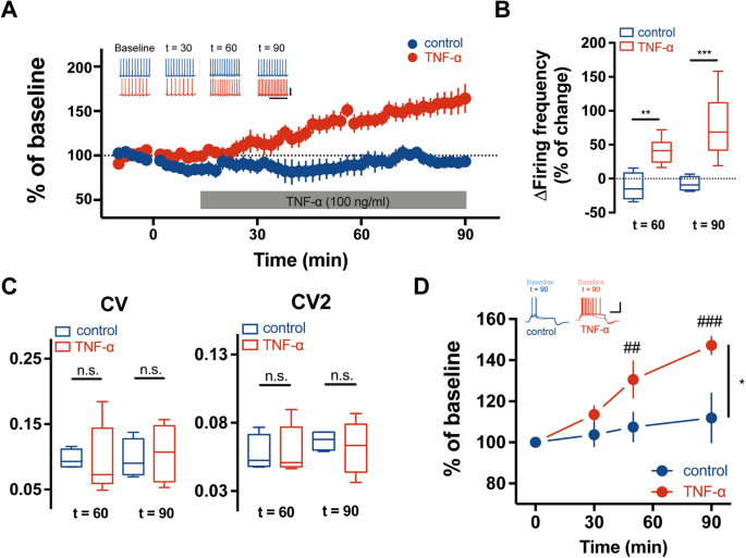 Purkinje cell dopaminergic inputs to astrocytes regulate  cerebellar-dependent behavior