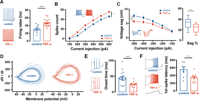 Purkinje cell dopaminergic inputs to astrocytes regulate cerebellar-dependent behavior
