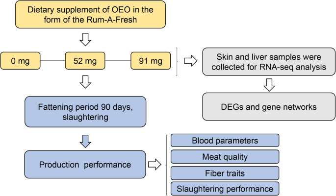 Dietary supplementation with Essential-oils-cobalt for improving growth performance, meat quality and skin cell capacity of goats | Scientific Reports Dietary supplementation with Essential-oils-cobalt for improving growth performance, meat quality and skin cell capacity of goats | Scientific Reports