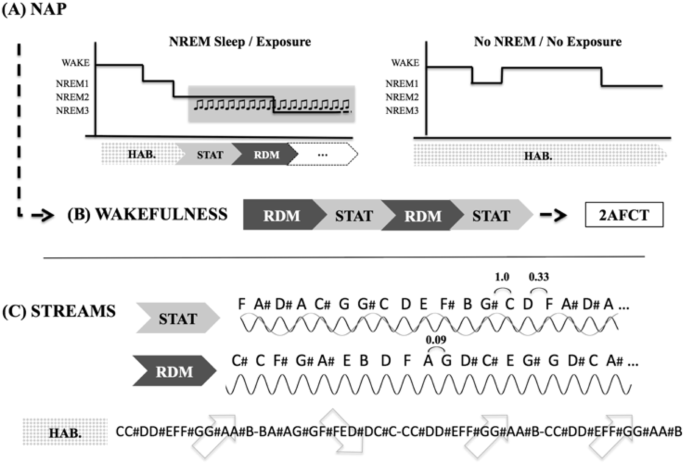 Lack Of Frequency Tagged Magnetic Responses Suggests - 