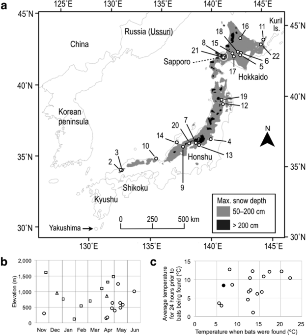 Evidence For Ussurian Nosed Bats Murina Ussuriensis Where When And In What Conditions Bats Were Found Snow Of 22 Collected Accounts The Earliest One Soro 1964 Was Omitted From Figures Due To