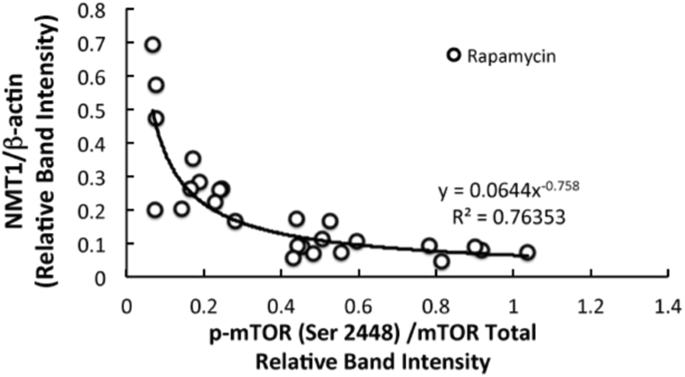 mtmr inhibitor mtmr inhibitor