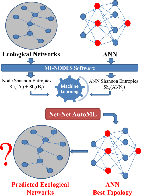 Net-Net Auto Machine Learning (AutoML) Prediction of Complex Ecosystems
