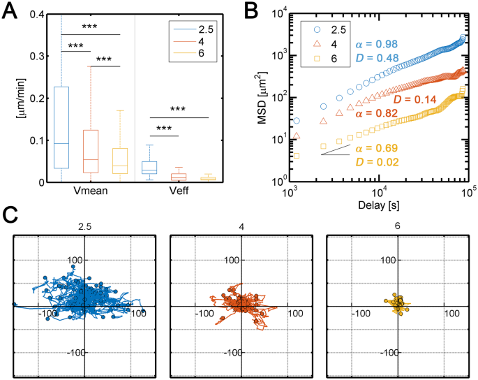 From Individual To Collective 3d Cancer Dissemination Roles Of Collagen Concentration And Tgf B Scientific Reports