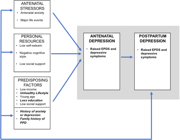 Modelling Of Psychosocial And Lifestyle Predictors Of Peripartum ...