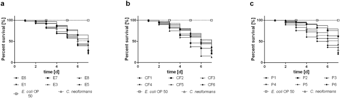 Exophiala Dermatitidis Isolates From Various Sources Using Alternative Invertebrate Host Organisms Caenorhabditis Elegans And Galleria Mellonella To Determine Virulence Scientific Reports