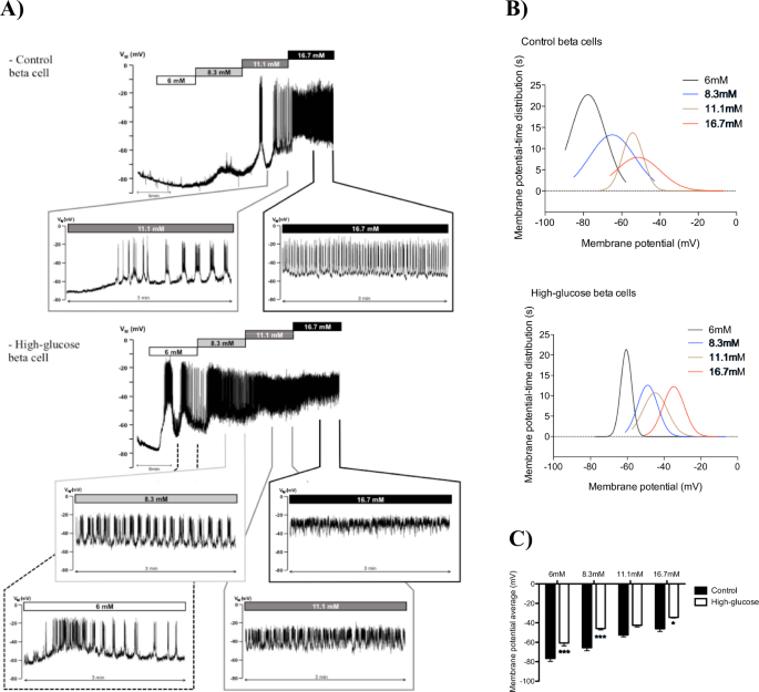 short term high glucose culture potentiates pancreatic beta cell