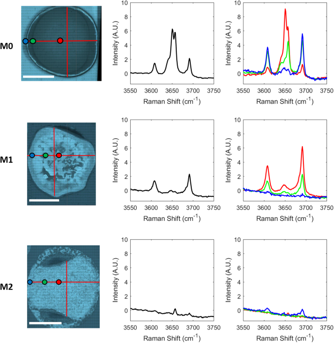 Identification of Magnesium Oxychloride Cement Biomaterial Heterogeneity using Raman Chemical Mapping and NIR Hyperspectral... 