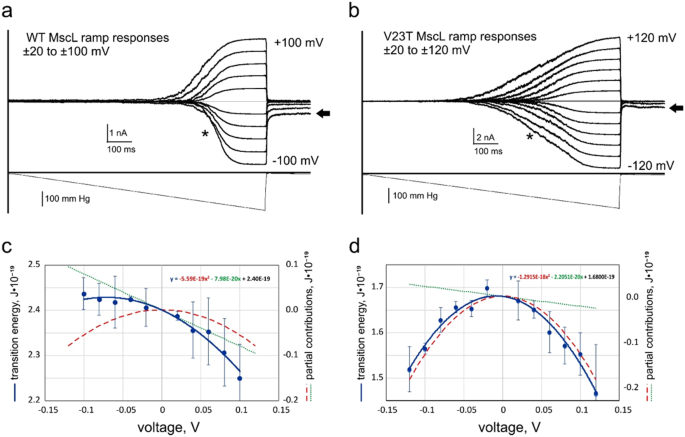 The voltage-dependence of MscL has dipolar and dielectric contributions and  is governed by local intramembrane electric field | Scientific Reports