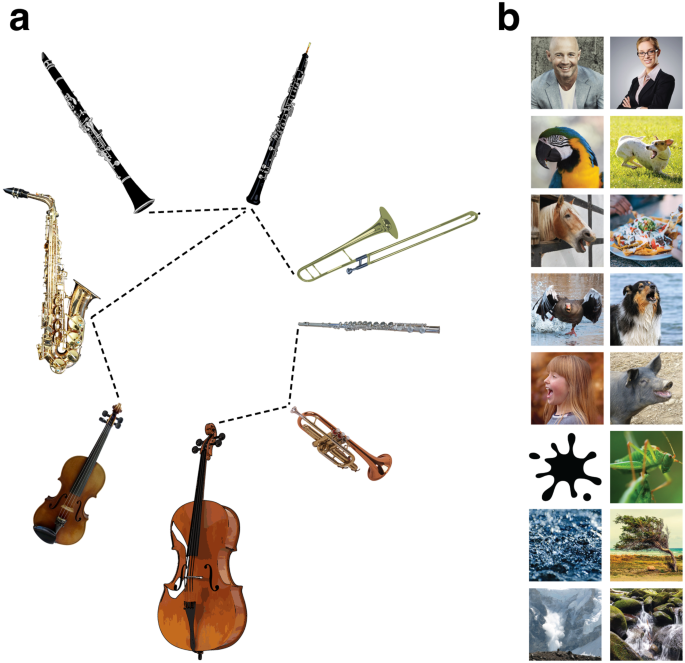 Rapid Adaptation to the Timbre of Natural Sounds | Scientific Reports