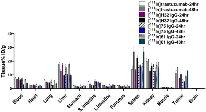 Noninvasive assessment of characteristics of novel anti-HER2