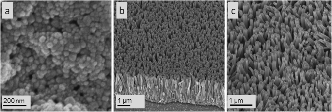 Fabrication And Characterization Of Glucose Biosensors By Using Hydrothermally Grown Zno Nanorods Scientific Reports