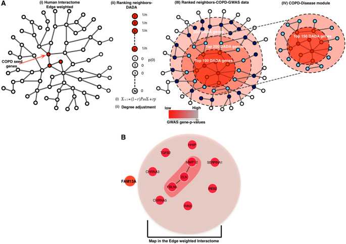 Integration of Molecular Interactome and Targeted Interaction Analysis to  Identify a COPD Disease Network Module | Scientific Reports