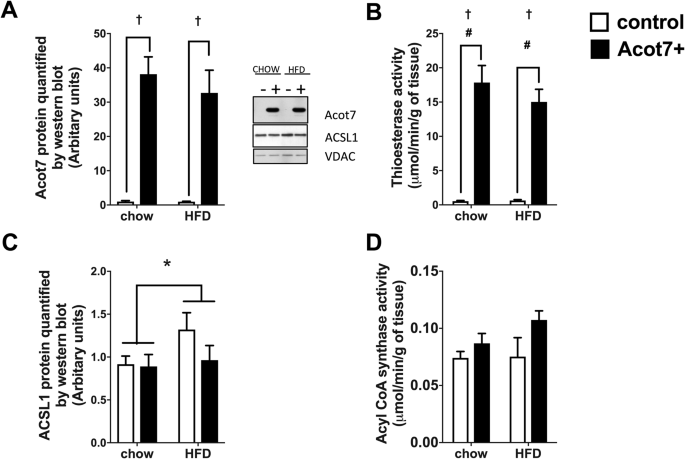 Increasing Acyl Coa Thioesterase Activity Alters Phospholipid Profile Without Effect On Insulin Action In Skeletal Muscle Of Rats Scientific Reports