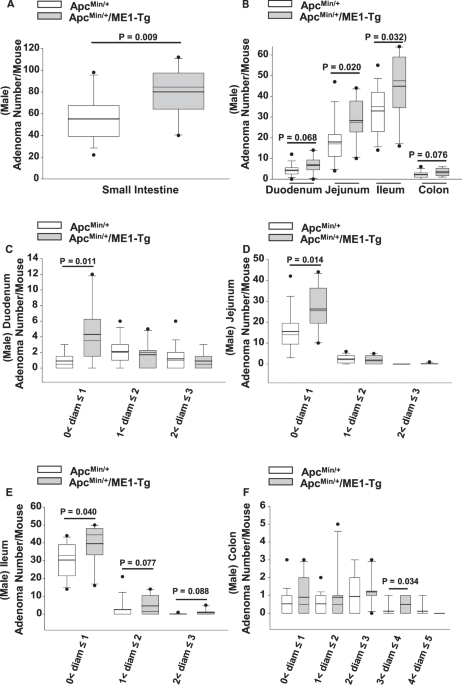 Malic Enzyme 1 Me1 Is Pro Oncogenic In Apc Min Mice Scientific - figure2