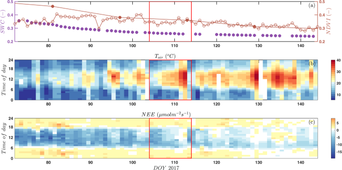 BG - Sun-induced fluorescence as a proxy for primary productivity