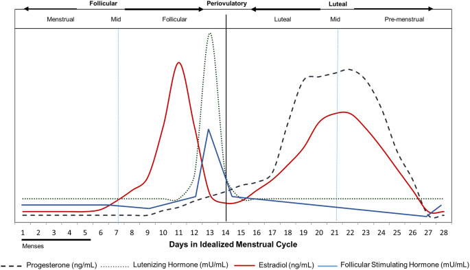 Women S Hormone Levels Chart