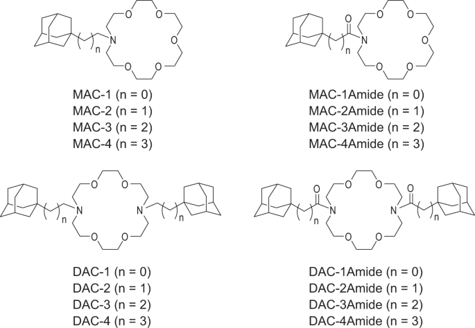 Crown Ethers Reverse P Glycoprotein Mediated Multidrug Resistance In Cancer Cells Scientific Reports