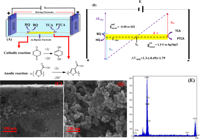 Direct Enzymatic Glucoseo 2 Biofuel Cell Based On Poly - 