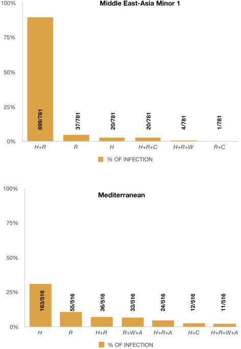 distribution and phylogenetics of whiteflies and their endosymbiont
