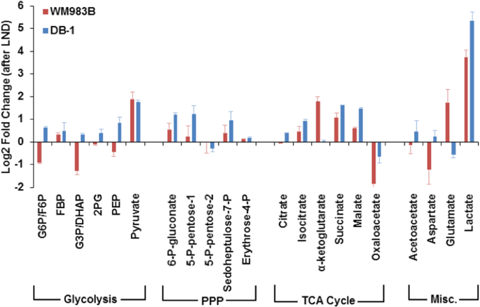 Effect Of Differences In Metabolic Activity Of Melanoma Models On Response To Lonidamine Plus Doxorubicin Scientific Reports Effect Of Differences In Metabolic Activity Of Melanoma Models On Response To Lonidamine Plus Doxorubicin Scientific Reports