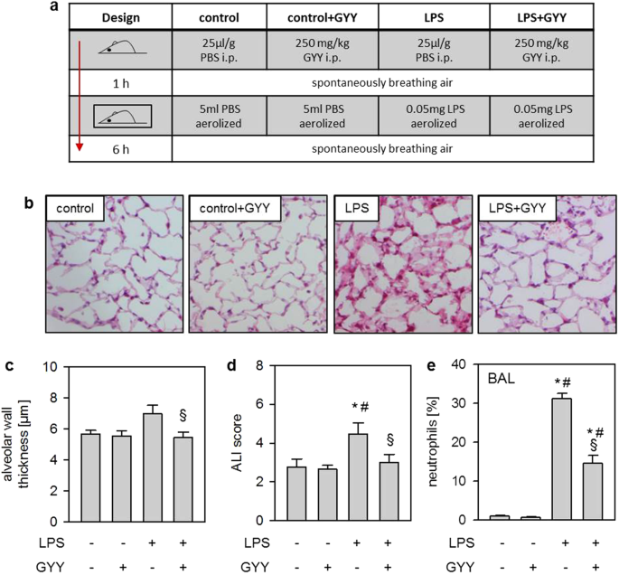Hydrogen sulfide limits neutrophil transmigration, inflammation, and oxidative burst in lipopolysaccharide-induced acute lung injury