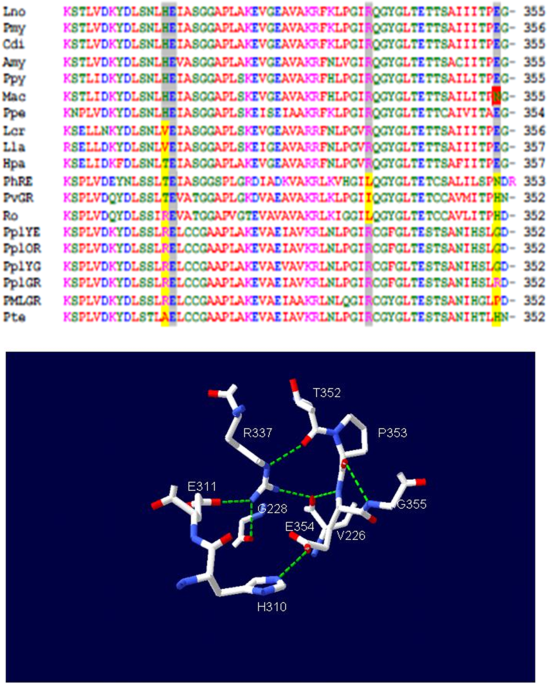 The Proton And Metal Binding Sites Responsible For The Ph - 
