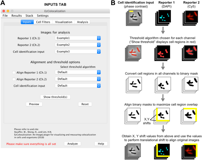 Ezcolocalization An Imagej Plugin For Visualizing And